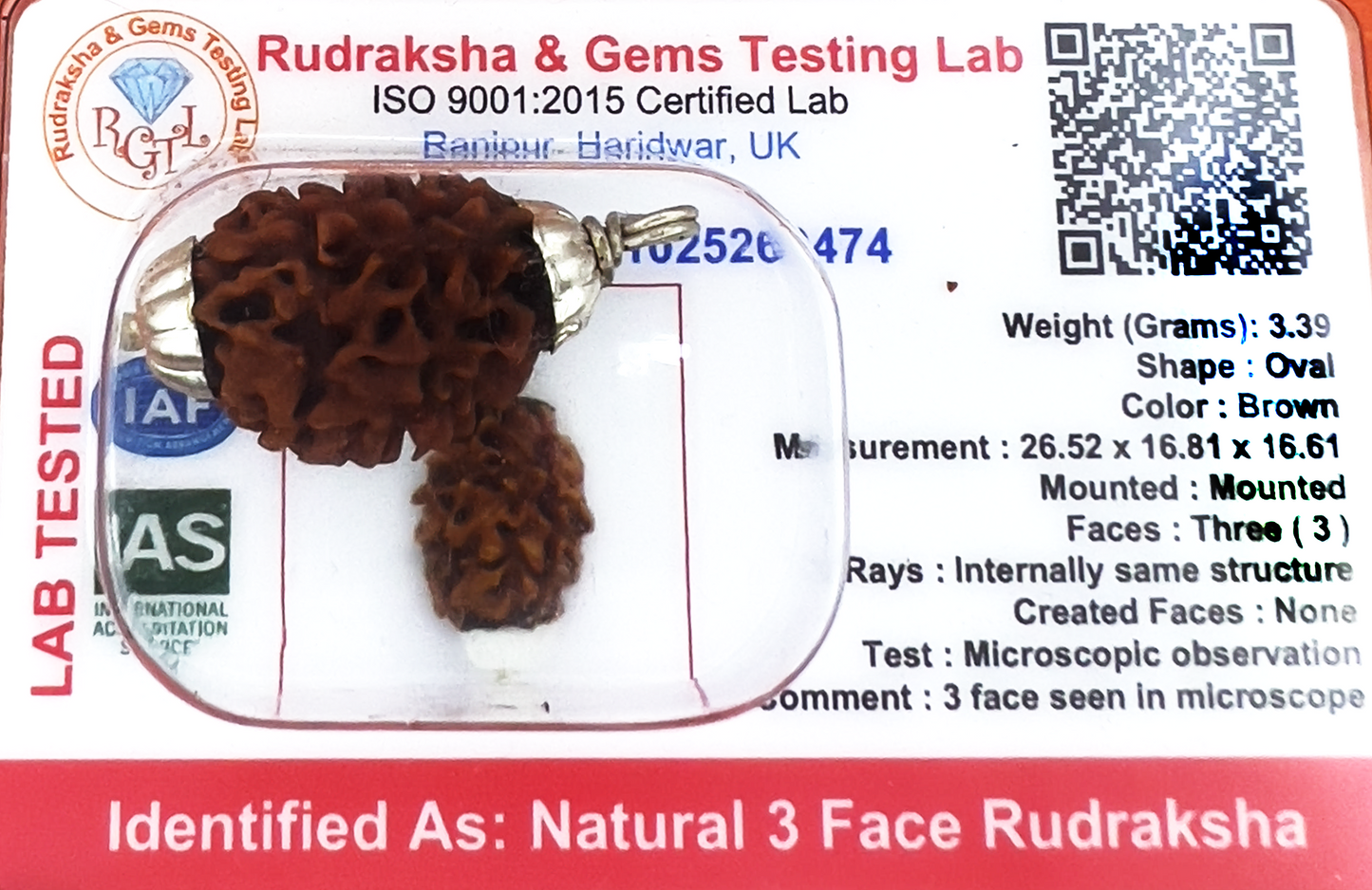 3 Mukhi Rudraksha (Indonesian)