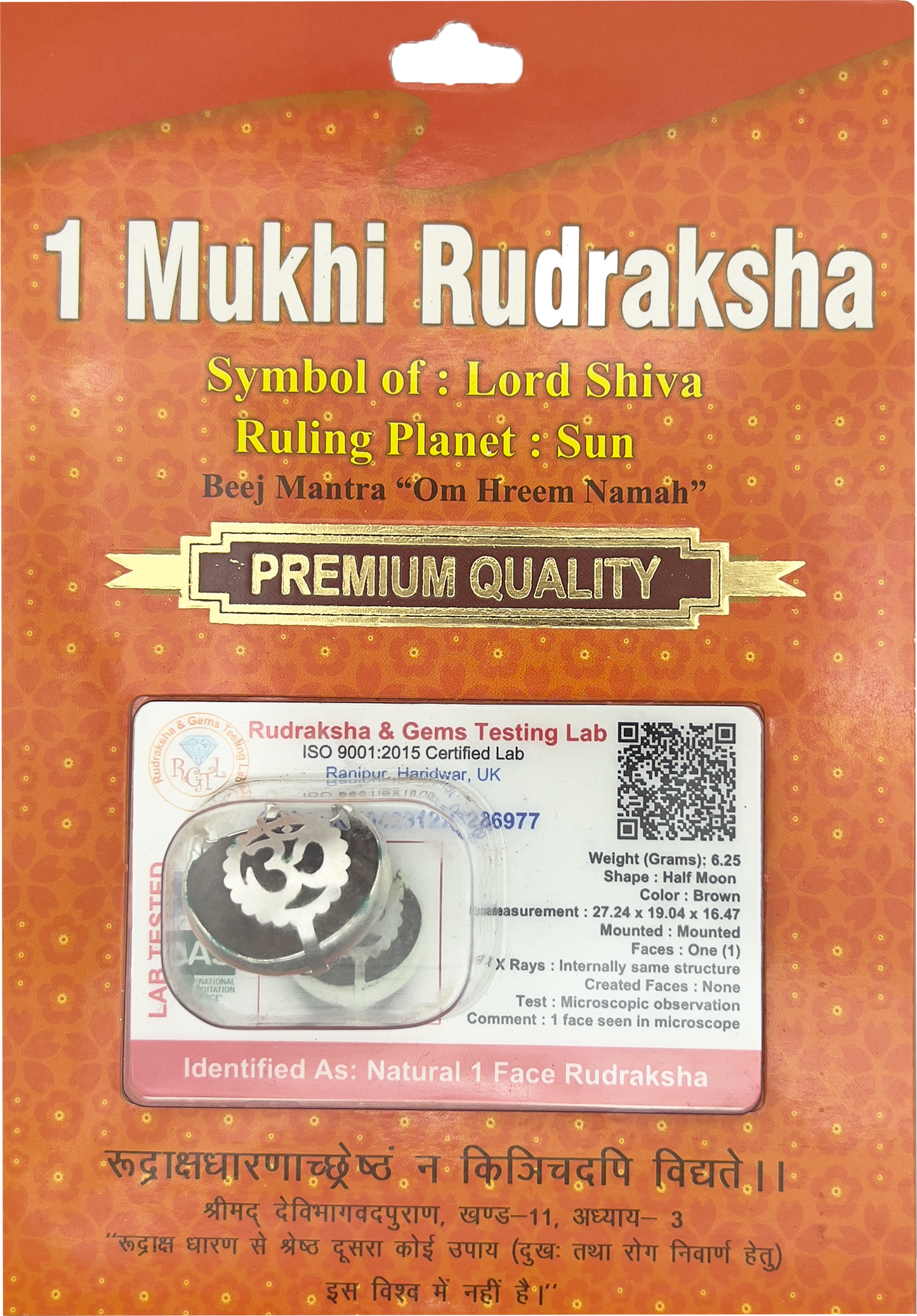 1 Mukhi Rudraksha (Indonesian) Certified