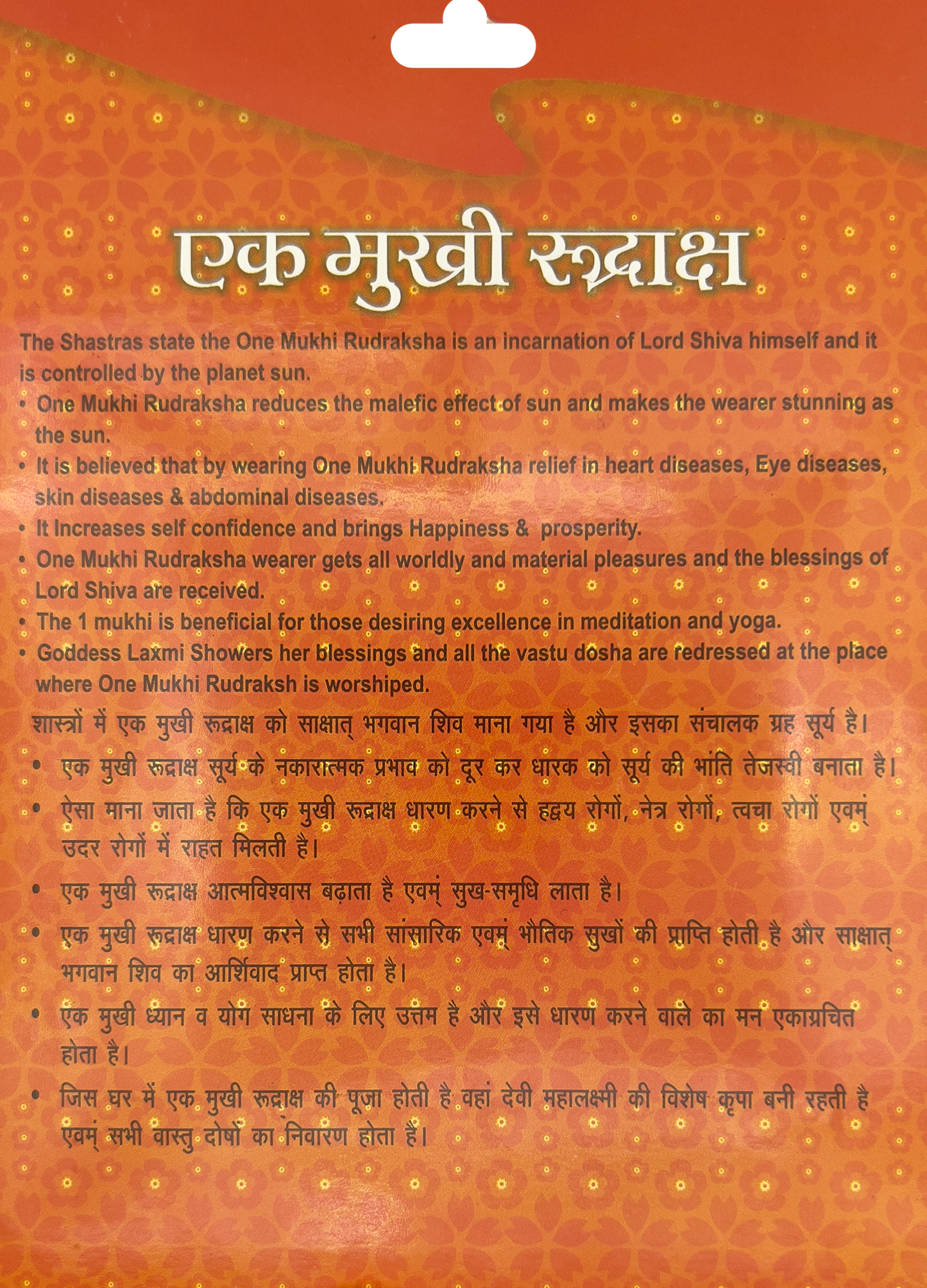 1 Mukhi Rudraksha (Indonesian) Certified