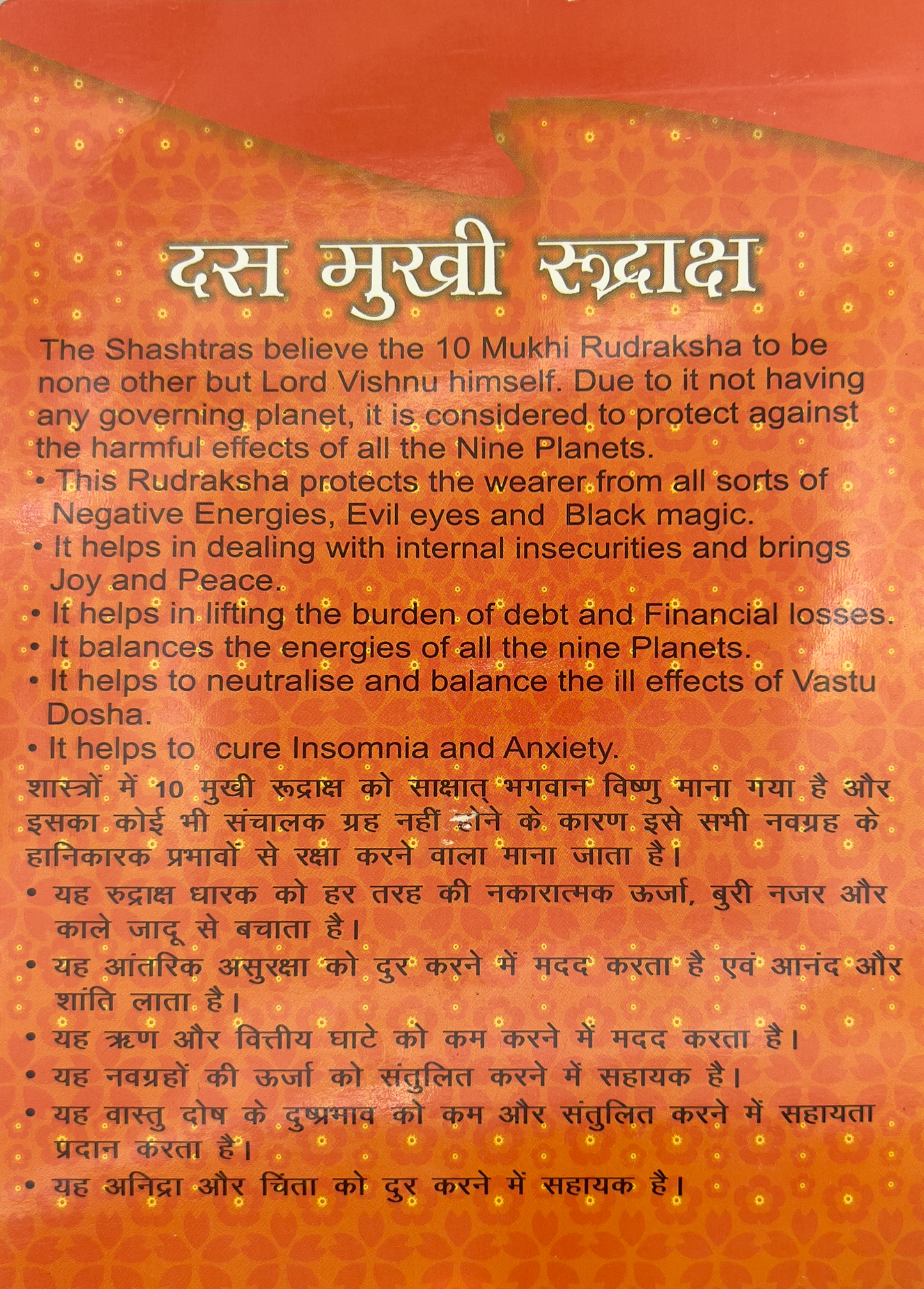 10 Mukhi Rudraksha (Certified)