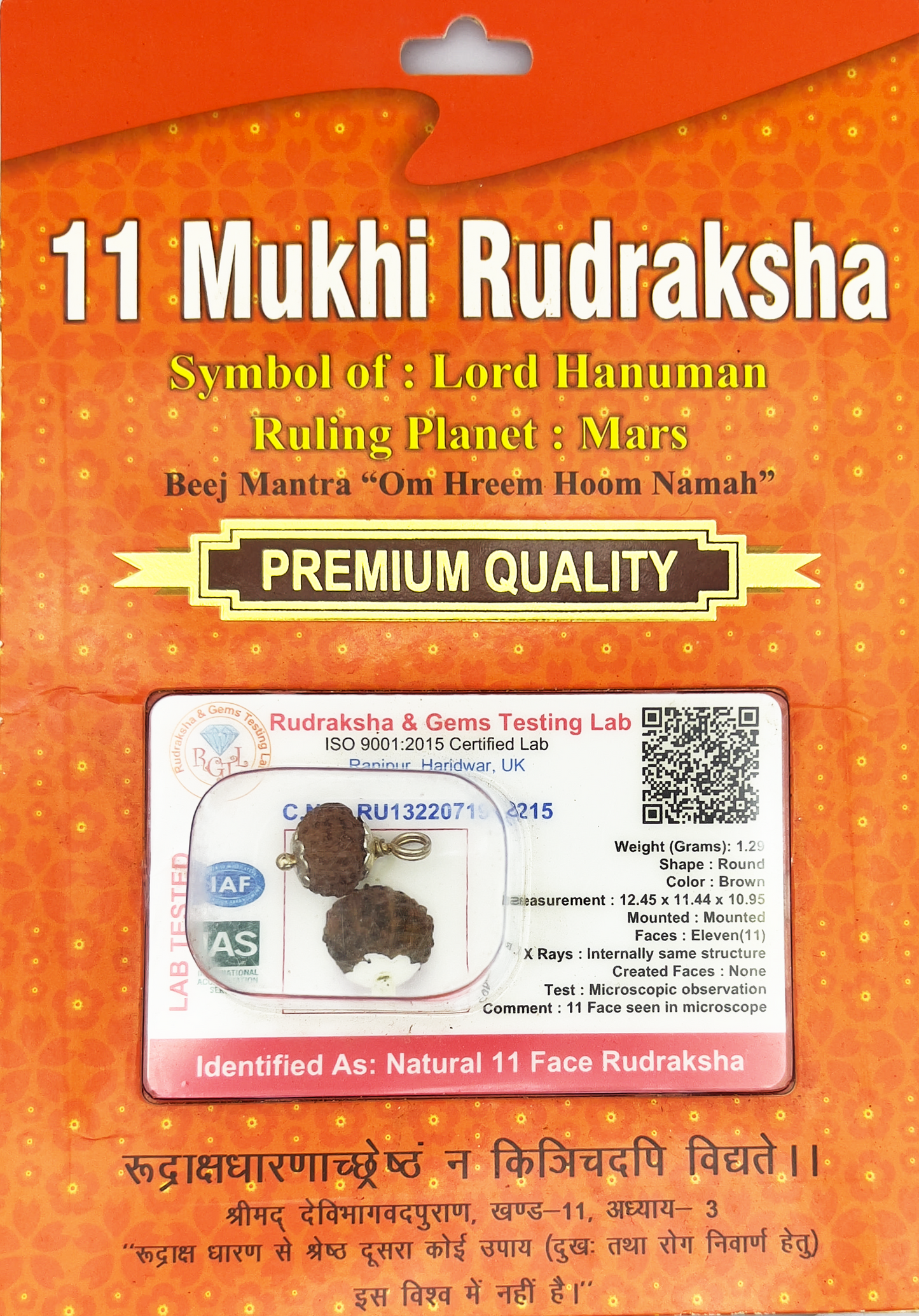 11 Mukhi Rudraksha (Certified)