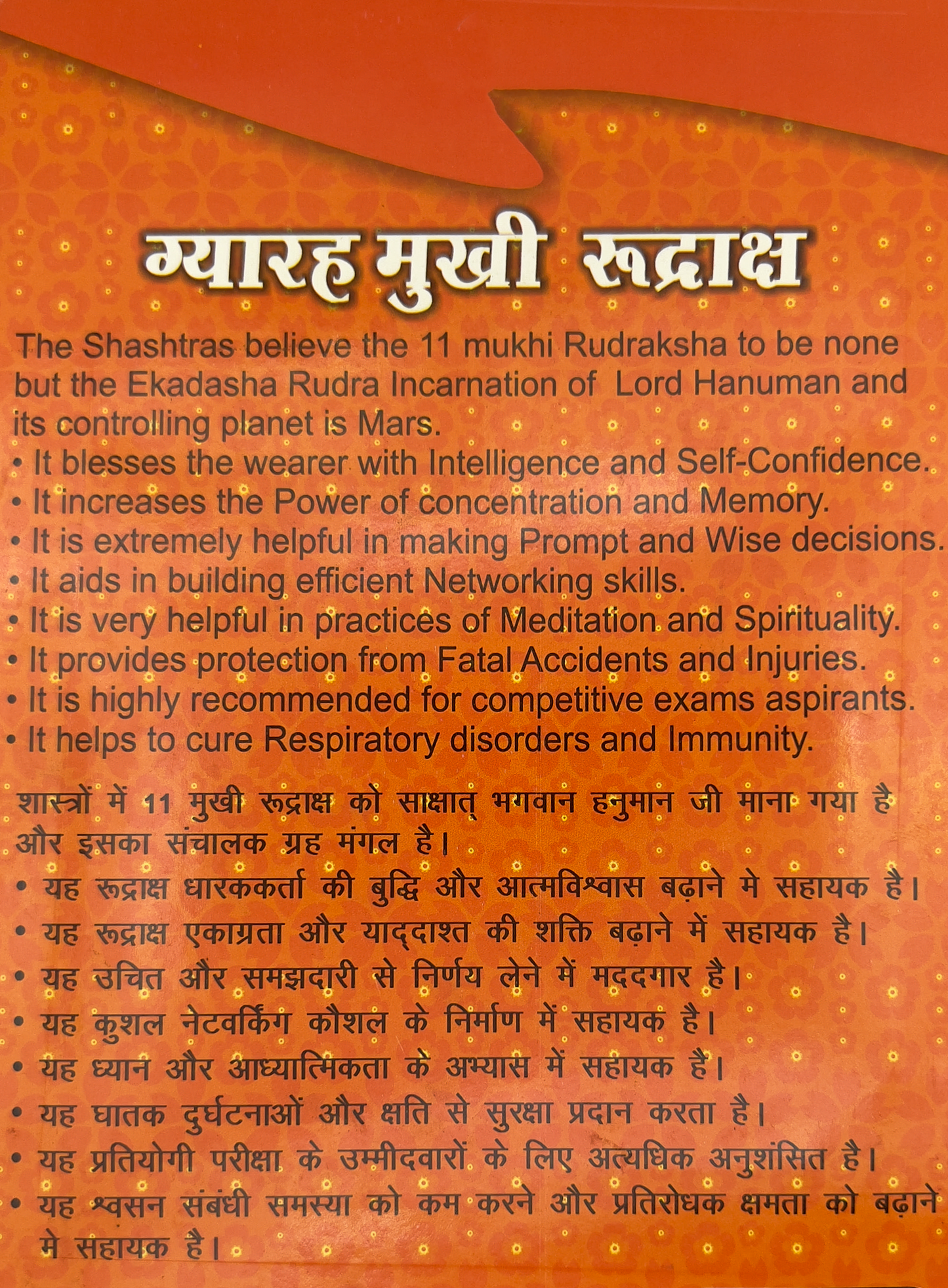 11 Mukhi Rudraksha (Certified)