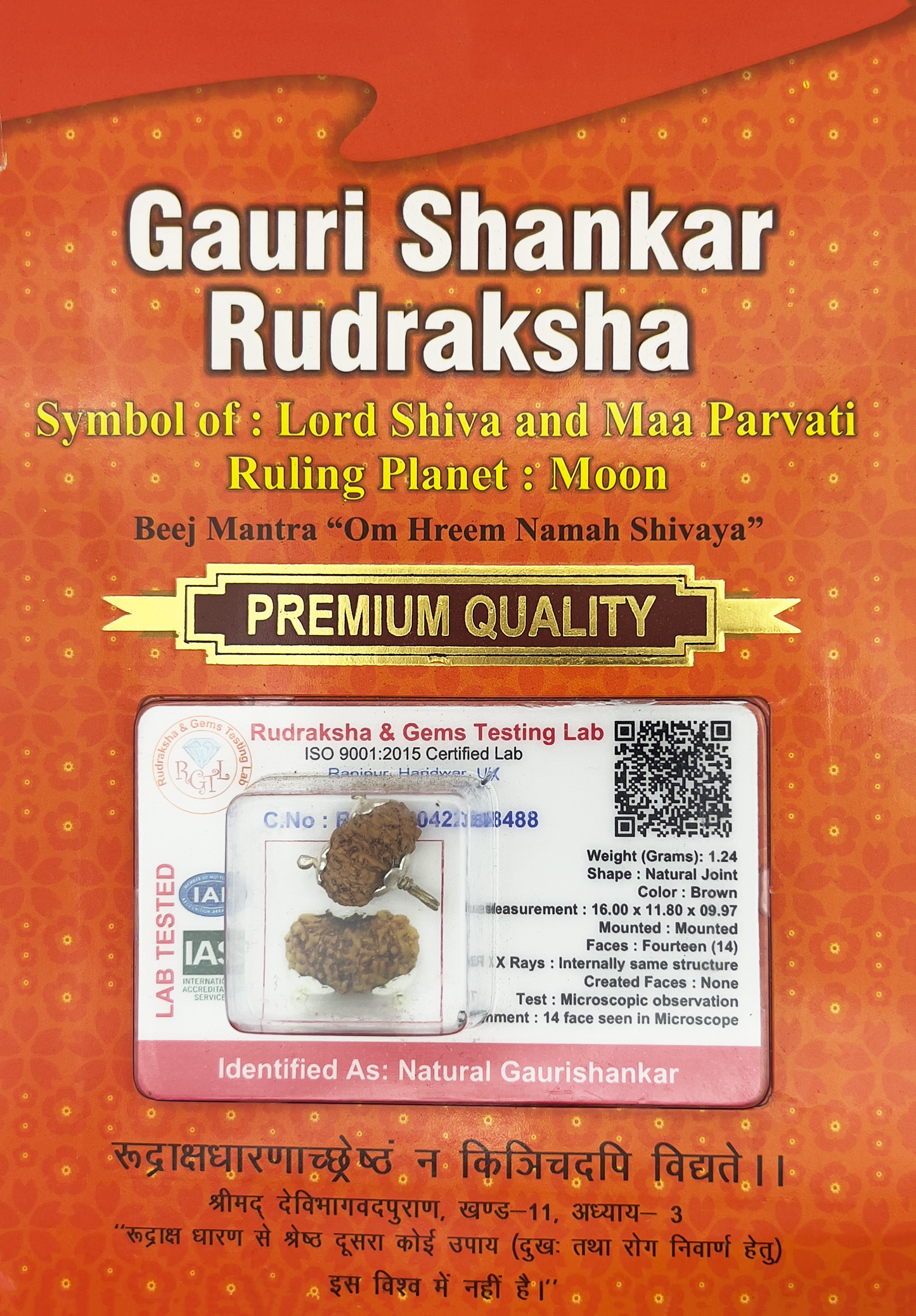 Gauri Shankar Rudraksha (Certified)