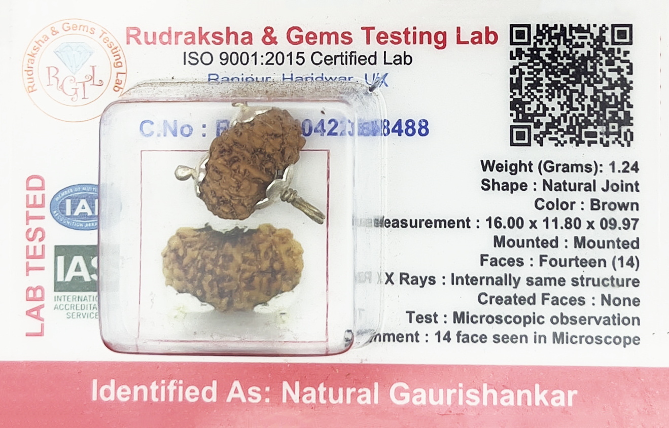Gauri Shankar Rudraksha (Certified)