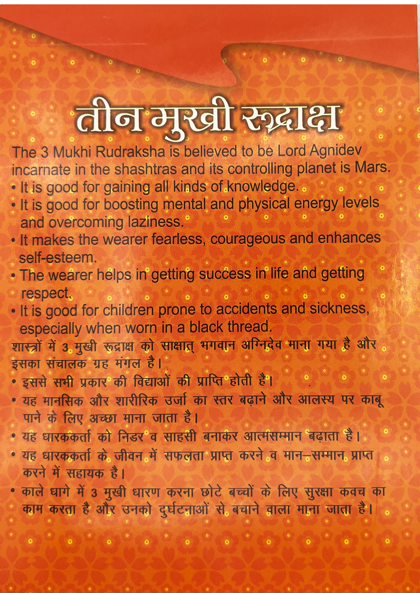 3 Mukhi Rudraksha (Indonesian)