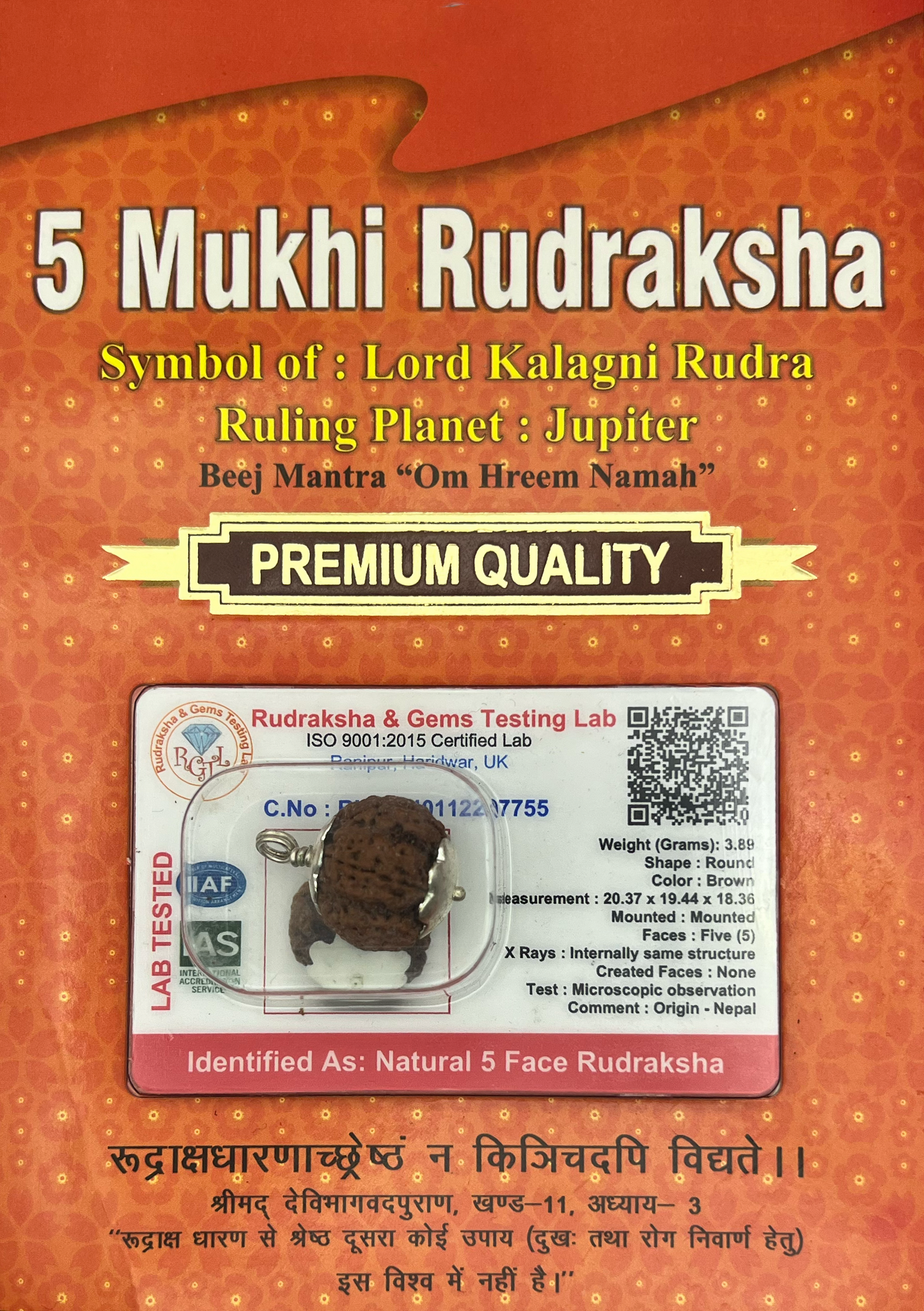 5 मुखी रुद्राक्ष (इंडोनेशियाई)
