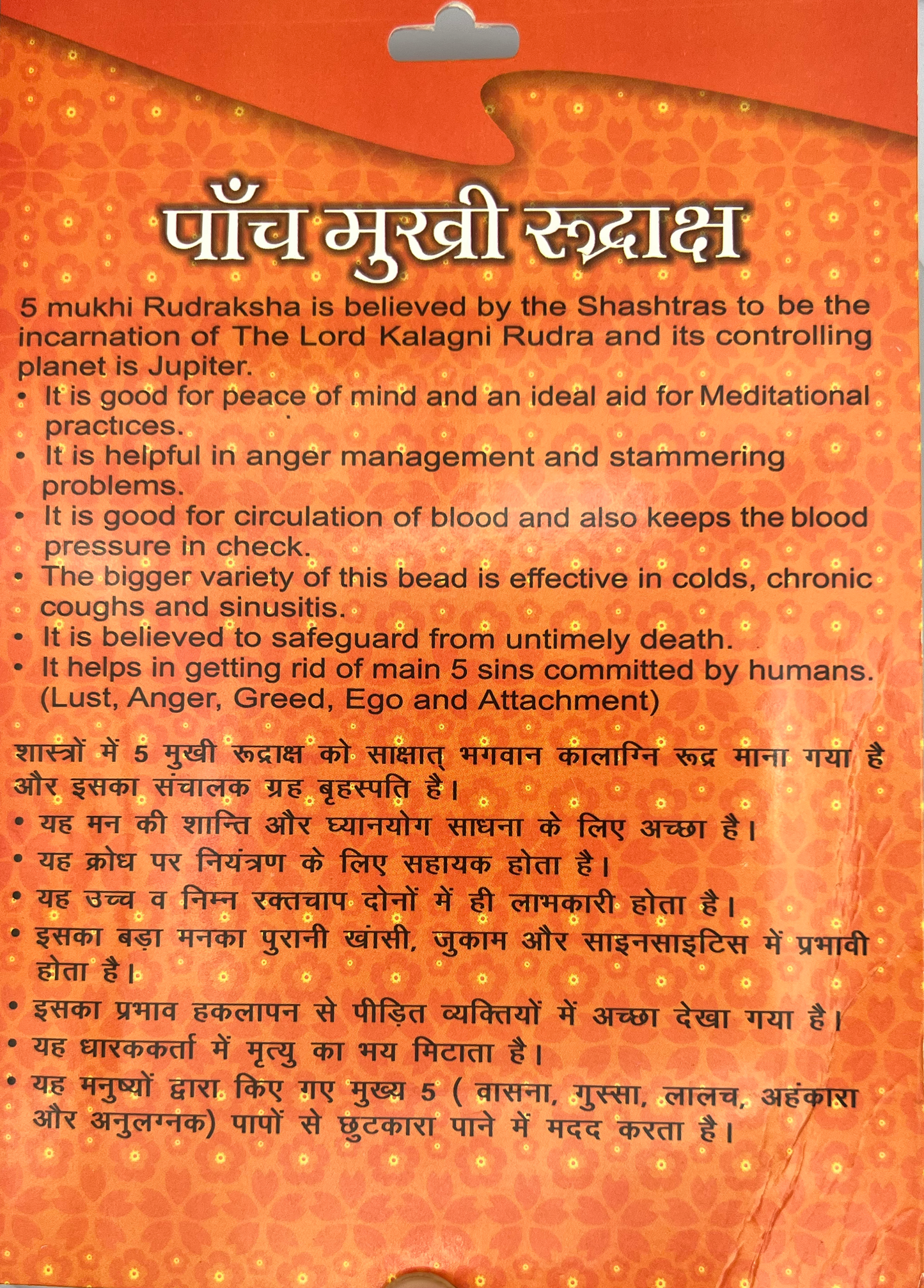 5 मुखी रुद्राक्ष (इंडोनेशियाई)