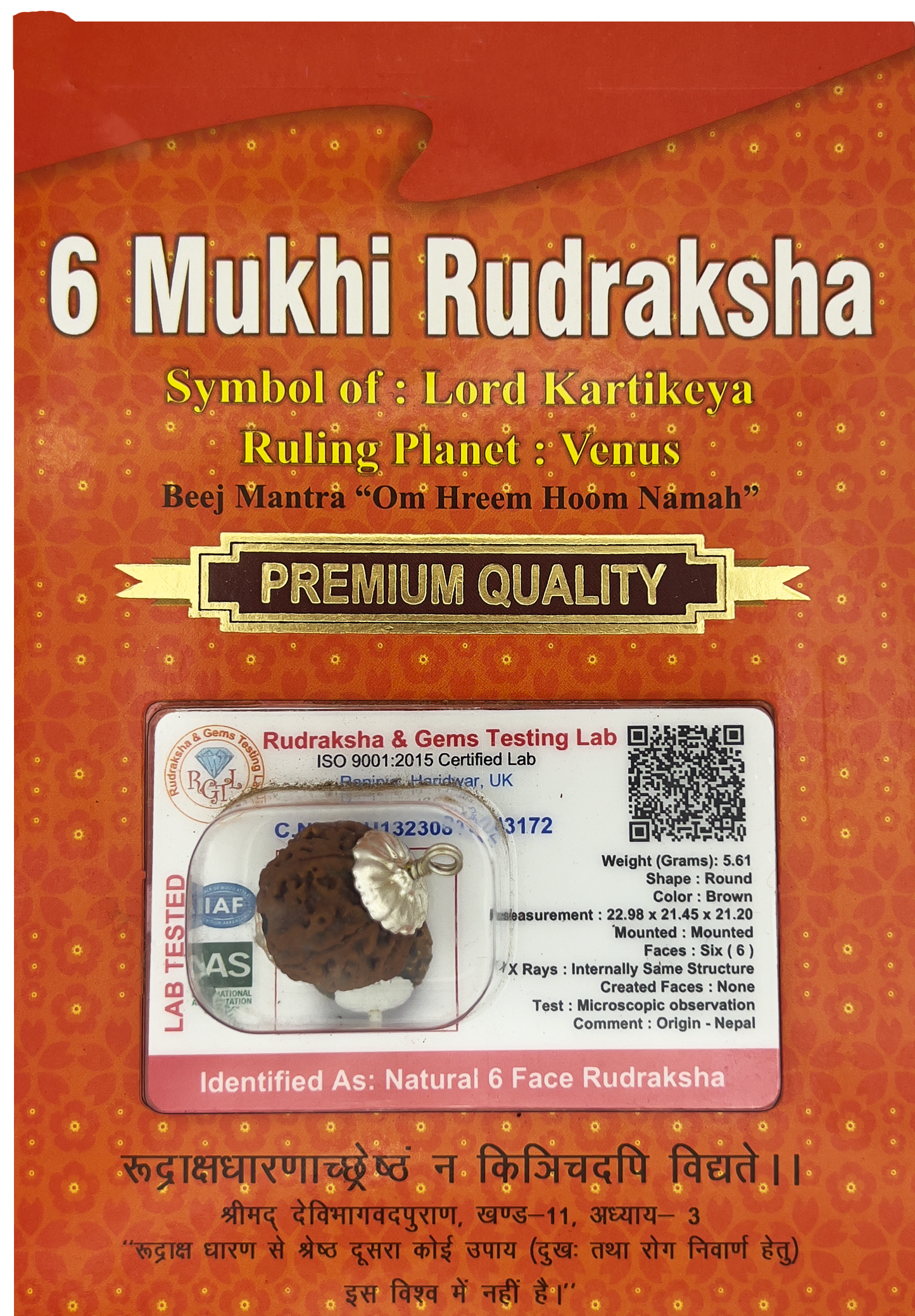 6 Mukhi Rudraksha (Indonesian)