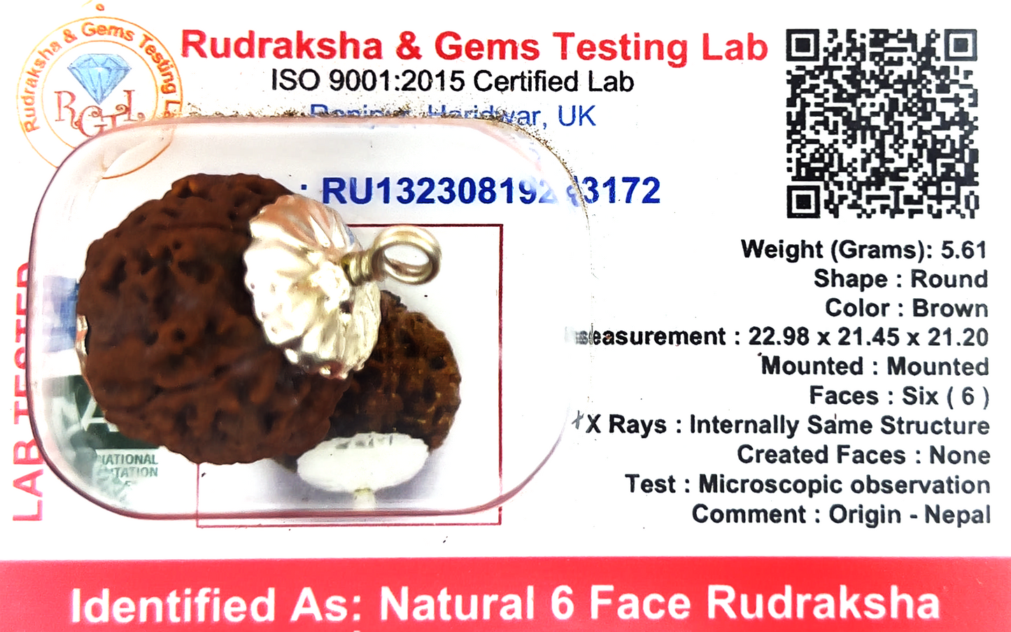 6 Mukhi Rudraksha (Indonesian)