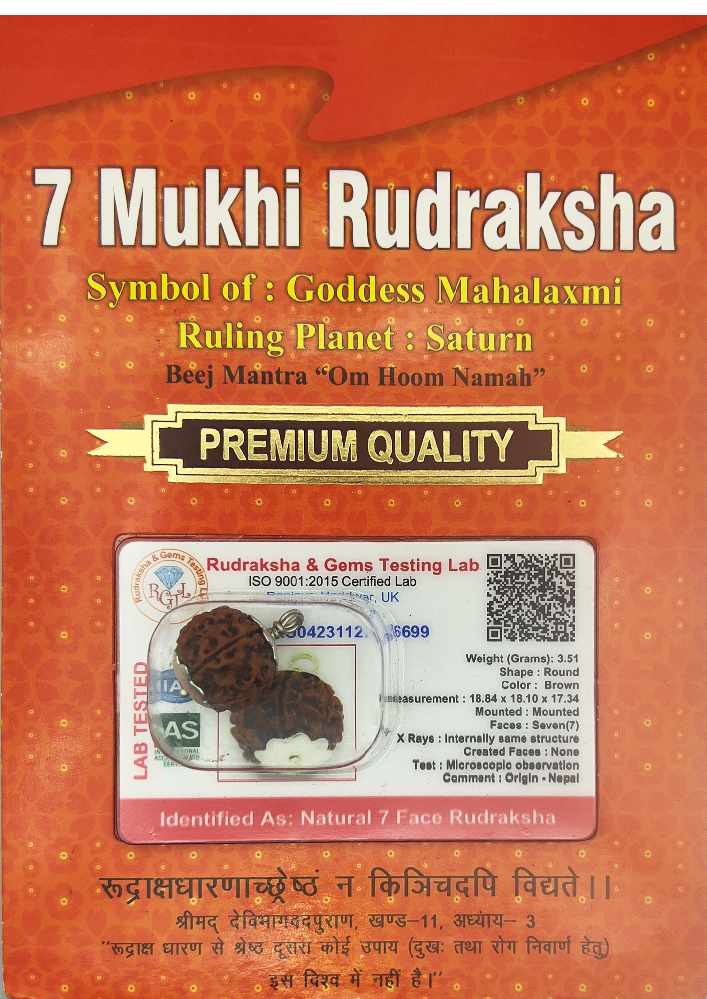 7 Mukhi Rudraksha (Indonesian)