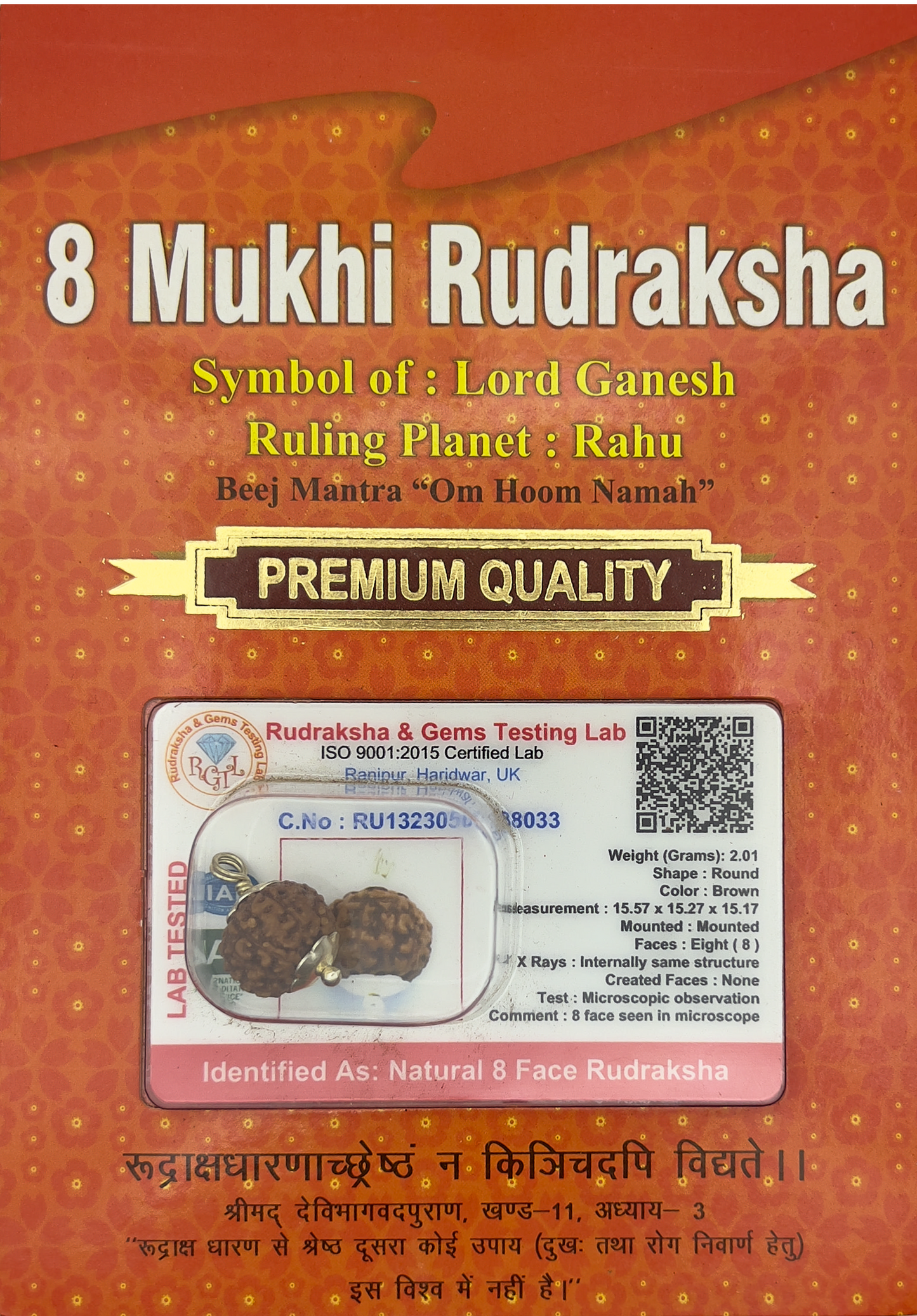 8 Mukhi Rudraksha (Indonesian)
