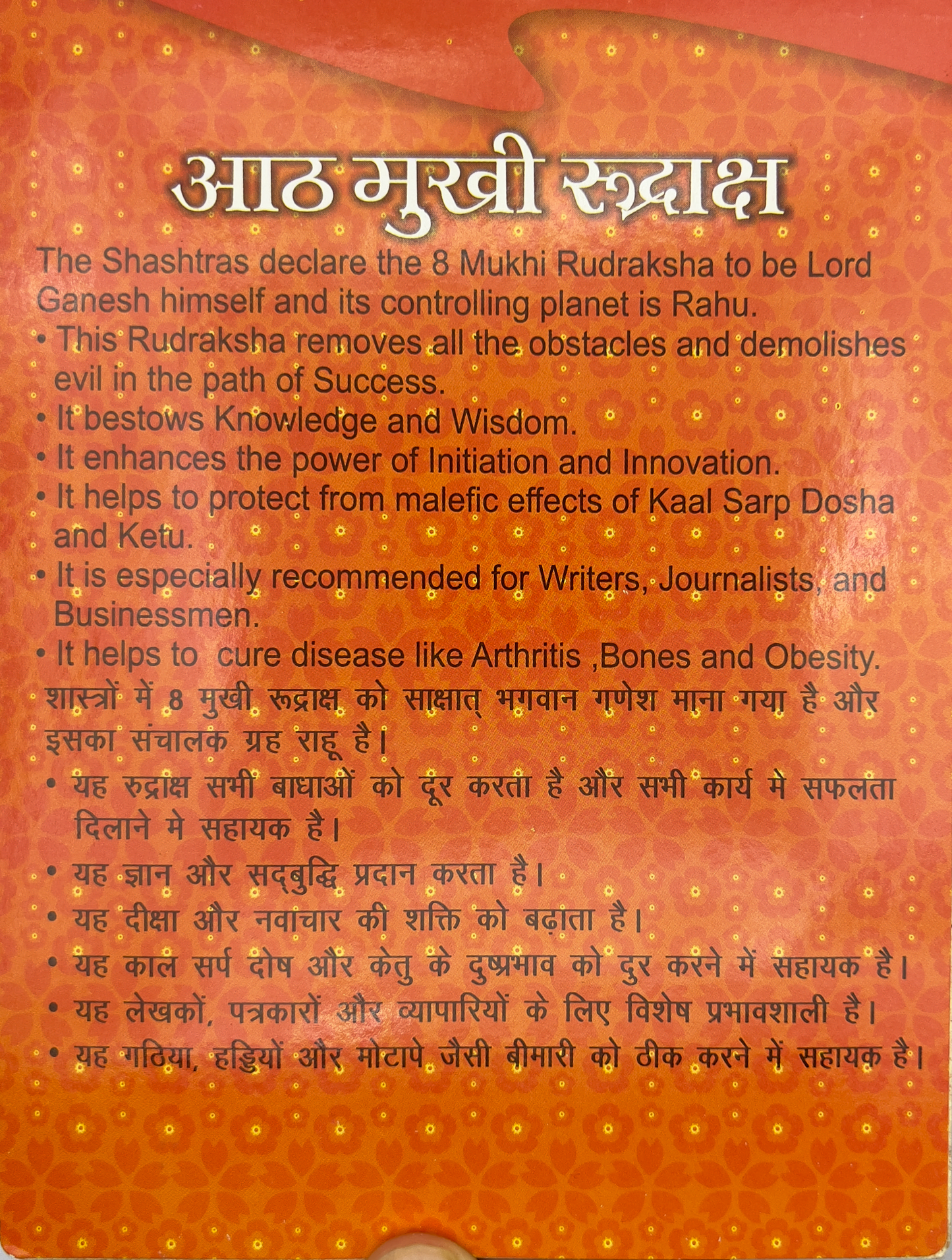 8 Mukhi Rudraksha (Indonesian)