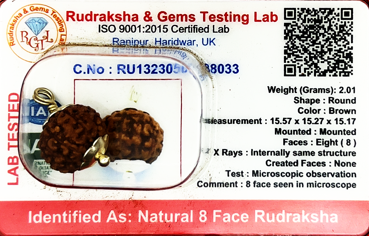 8 Mukhi Rudraksha (Indonesian)