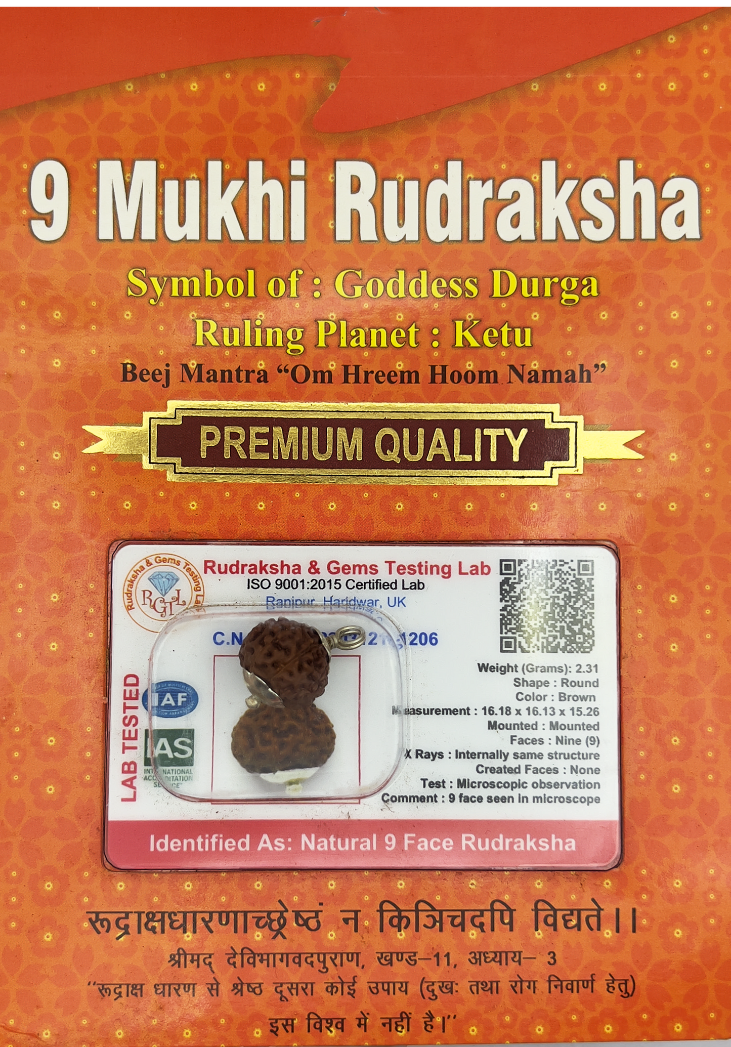 9 Mukhi Rudraksha (Indonesian)